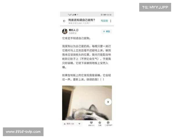 “帕劳指控中国大规模网络攻击：背后真相与国际笑话的荒诞对比”